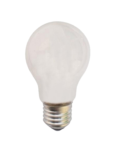 100 watt globe light bulb